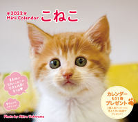 画像をギャラリービューアに読み込む, ＃ミニカレンダー　’２２　こねこ :9784845008742
