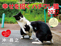 画像をギャラリービューアに読み込む, ＃カレンダー　’２２　幸せを招くハチワレ猫 :9784845008810
