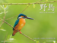 #柳沼俊之写真 #’２２野鳥カレンダー