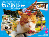 #中山祥代写真 #カレンダー’２２ねこ散歩