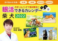 画像をギャラリービューアに読み込む, ＃’２２　眼活できるカレンダー　柴犬 :9784845008940
