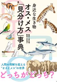 #Supervised by Tadaaki Imaizumi #Everyday Creatures: How to Tell the Difference Between Males and Females Encyclopedia