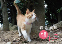 画像をギャラリービューアに読み込む, #神宮館 #’２３岩合光昭福ねこカレンダー
