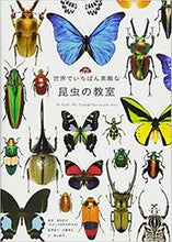 画像をギャラリービューアに読み込む, ＃須田　研司　監修 ＃世界でいちばん素敵な昆虫の教室 ｽﾀﾞｹﾝｼﾞ :9784861999833
