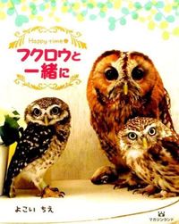 #YokoIchie #HappyTimeWithOwls