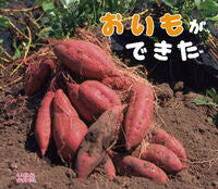 ＃おいもができた : ひさかたチャイルド : The potato is ready : 9784865490114