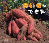 ＃おいもができた : ひさかたチャイルド : The potato is ready : 9784865490114