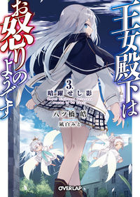 ＃八ツ橋　皓　著 ＃王女殿下はお怒りのようです　　　３ ﾔﾂﾊｼｺｳ | Yatsuhashikou Her Royal Highness the Princess seems angry. 3 :9784865545579