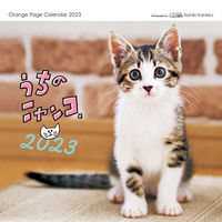 Load image into Gallery viewer, #YoshikiKanekoPhotography #23OurCatWallCalendar
