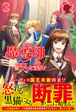 画像をギャラリービューアに読み込む, ＃広瀬　煉　著 ＃魔導師は平凡を望む　　２８ ﾋﾛｾﾚﾝ :9784866574790
