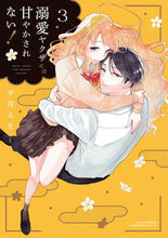 Load image into Gallery viewer, #HiraiRuna #TheOverprotectiveYakuzaWontSpoilMe!3
