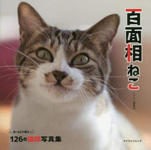 Load image into Gallery viewer, My Way Publishing / One Hundred Expressions of Cats
