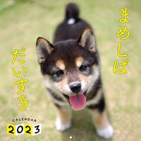 Load image into Gallery viewer, #G-Walk #’23MameshibaLoveCalendar

