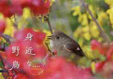 画像をギャラリービューアに読み込む, 山内昭撮影 / ’２２身近な野鳥カレンダー
