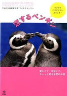 #文踊社 #恋するペンギン