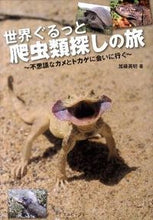 Load image into Gallery viewer, #HideakiKato #WorldReptileHunt~MysteriousTurtles

