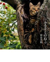 画像をギャラリービューアに読み込む, ＃岩合 光昭 ＃ふるさとのねこ ｲﾜｺﾞｳﾐﾂｱｷ | Mitsuaki Iwago :9784904845554
