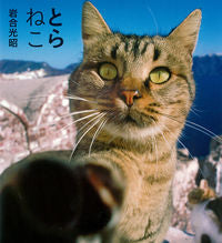 画像をギャラリービューアに読み込む, ＃岩合 光昭 ＃とらねこ ｲﾜｺﾞｳﾐﾂｱｷ | Mitsuaki Iwago :9784904845752
