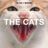 画像をギャラリービューアに読み込む, ＃岩合 光昭 ＃ねこ科 ｲﾜｺﾞｳﾐﾂｱｷ | Mitsuaki Iwago :9784904845806
