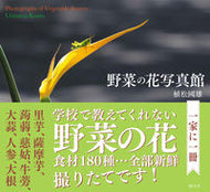 #植松國雄 #野菜の花写真館