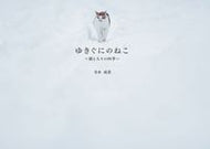 #寺本成貴 #ゆきぐにのねこ～猫と人々の四季～