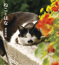 画像をギャラリービューアに読み込む, ＃岩合 光昭 ＃ねことはな ｲﾜｺﾞｳﾐﾂｱｷ | Mitsuaki Iwago :9784909532008

