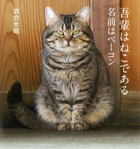 画像をギャラリービューアに読み込む, ＃岩合 光昭 ＃我輩はねこである　名前はベーコン ｲﾜｺﾞｳﾐﾂｱｷ | Mitsuaki Iwago :9784909532329
