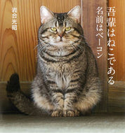 #岩合光昭 #我輩はねこである名前はベーコン