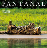 画像をギャラリービューアに読み込む, ＃岩合 光昭 ＃ＰＡＮＴＡＮＡＬ ｲﾜｺﾞｳﾐﾂｱｷ | Mitsuaki Iwago :9784909532404
