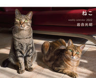 #岩合光昭 #カレンダー’２２岩合光昭ねこ
