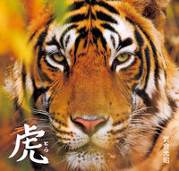 Load image into Gallery viewer, ＃岩合 光昭 ＃虎 ｲﾜｺﾞｳﾐﾂｱｷ | Mitsuaki Iwago :9784909532688
